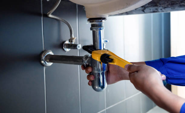 Best Garbage Disposal Repair and Installation  in Moapa Valley, NV